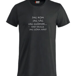Jag kom jag såg jag glömde